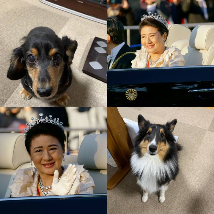 D8d15249 662c 4bd8 8e58 da3c57df2ae1 1573421499689