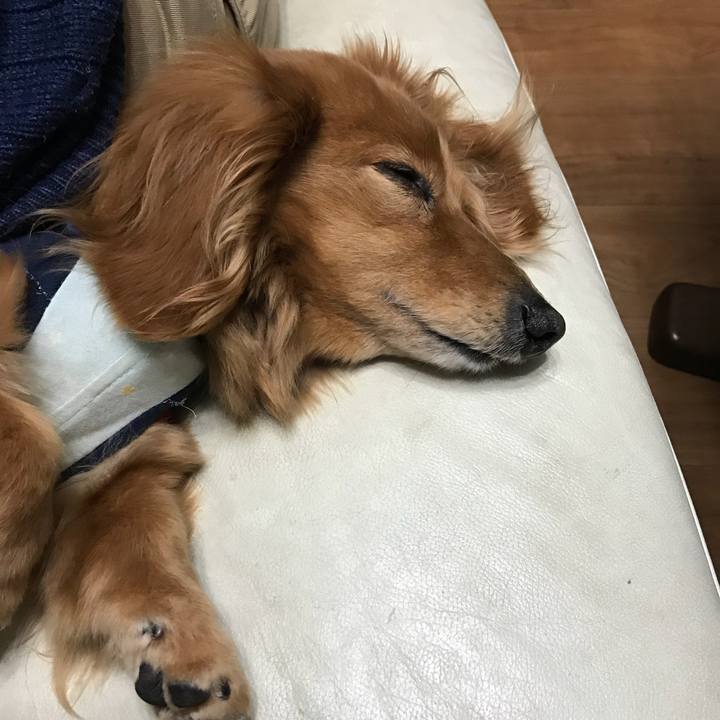 D8d153ac e07a 4926 b711 6c02453bbde0 1520078343997