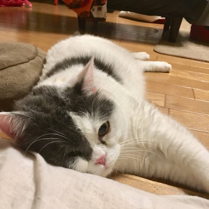 D8d18449 18f0 4a53 acf0 68c72b0fb9db 1529722566382