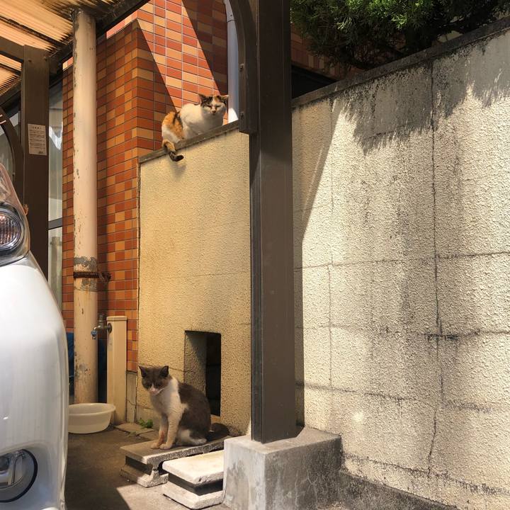 D8d18757 bf83 41fa 8f4a 5149dfadf3d0 1585414884350