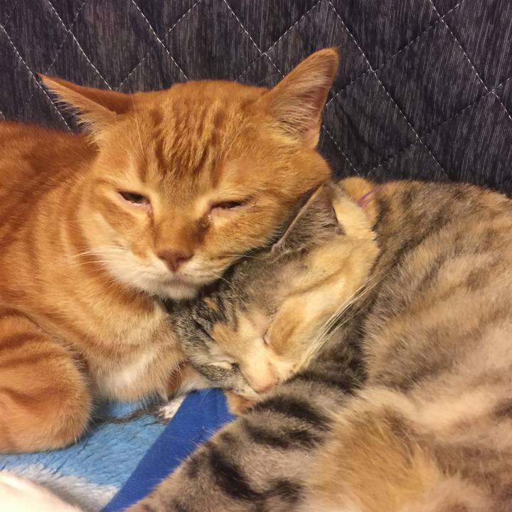 D8d19be4 f02b 4d33 b0c7 eb4a21bce35b 1558785256961