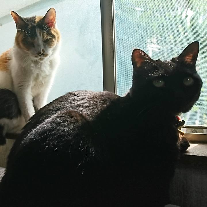 D8d19eca 5e4c 4864 9a55 dfad7364b966 1570409663582