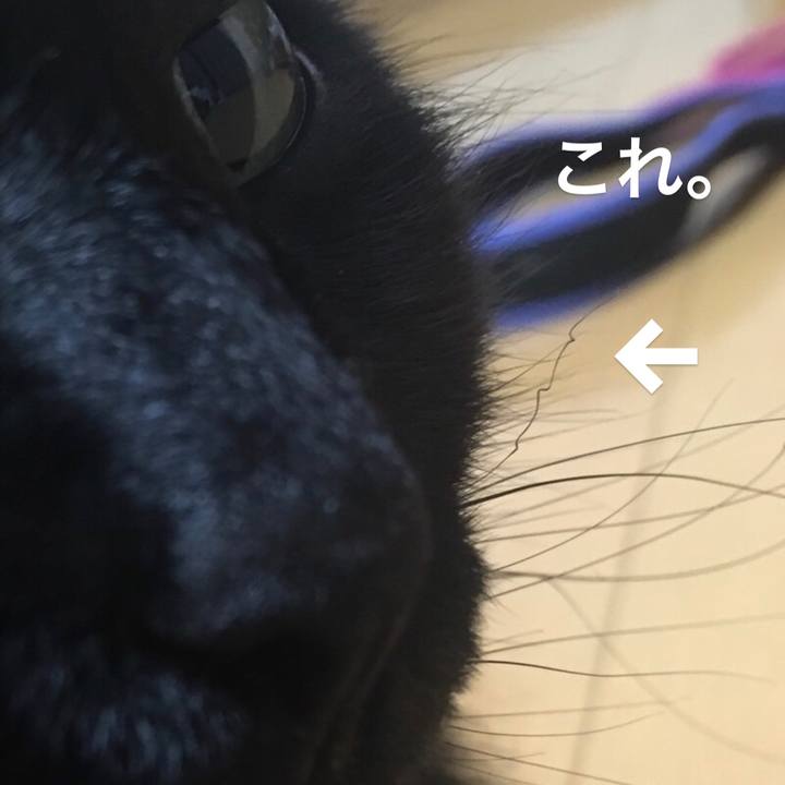 D8d1db14 8992 4aea b557 0501a5b71883 1571807072891