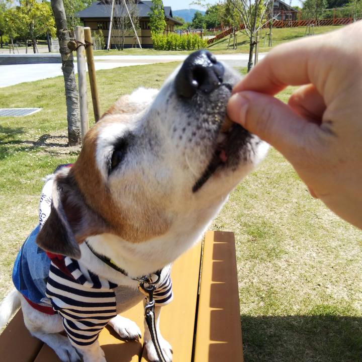 D8d1fe5b 7a7c 42d7 9514 9e2e651136b3 1526165356821