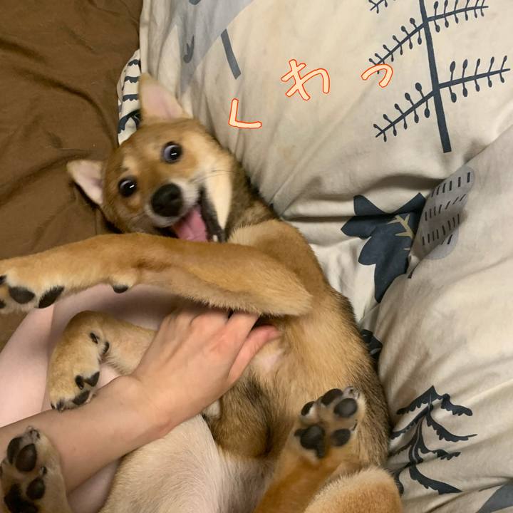 D8d277b1 bdf4 42f0 822c b13b8afbdd80 1625801163738