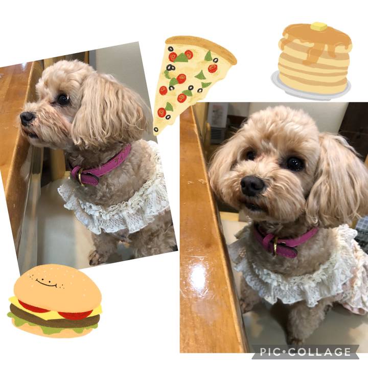 D8d28fff cafe 45d7 9004 43efd278dc90 1681042033111