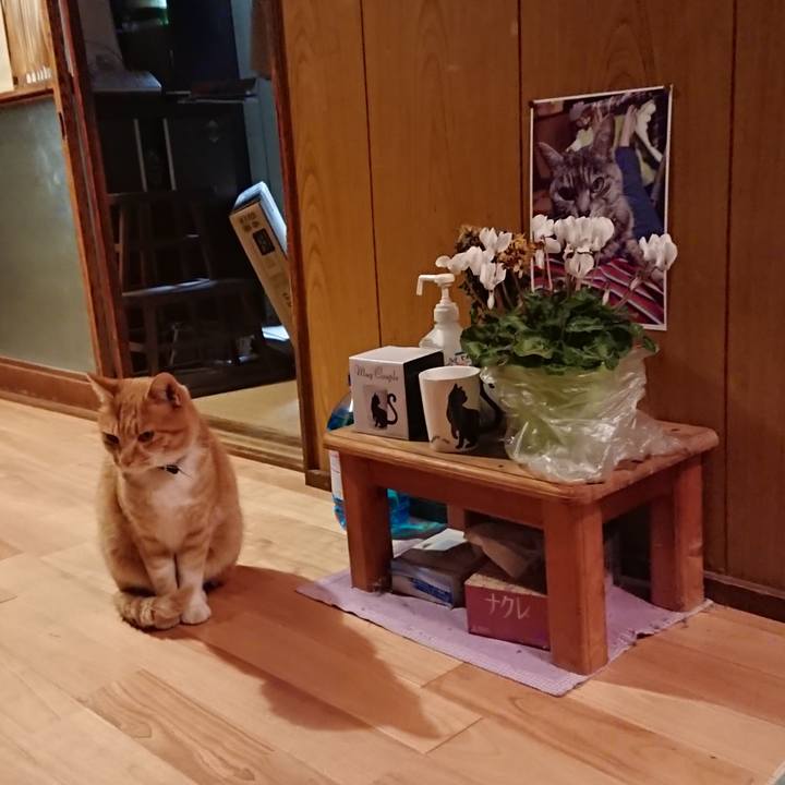 D8d2ab24 580e 466d 9aa0 32fb4e8288e2 1606812187348