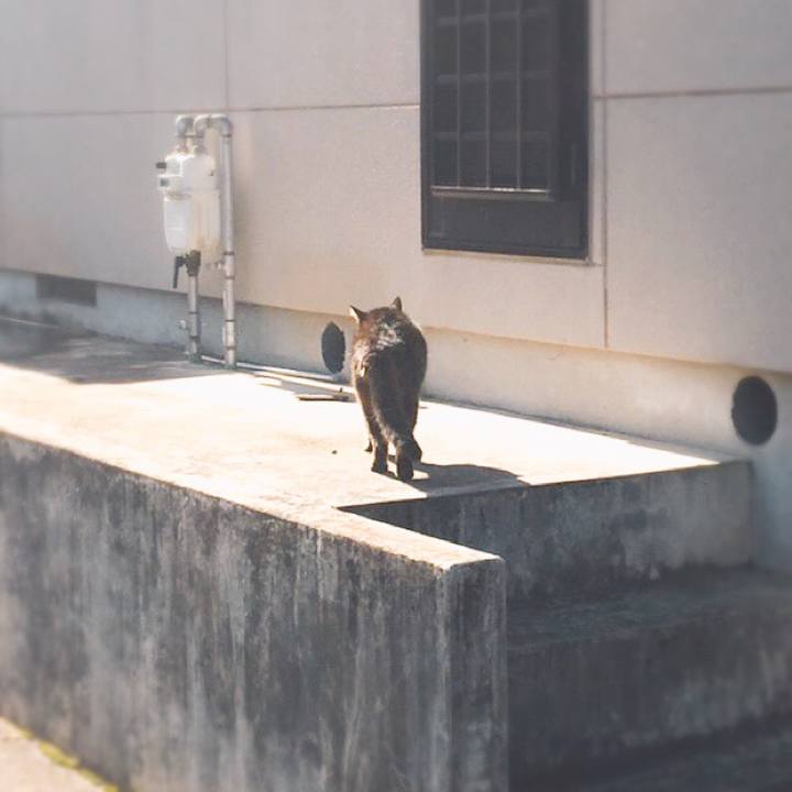 D8d2bf60 d611 4f6b 9fed 96f8f02c1aa0 1541936318813