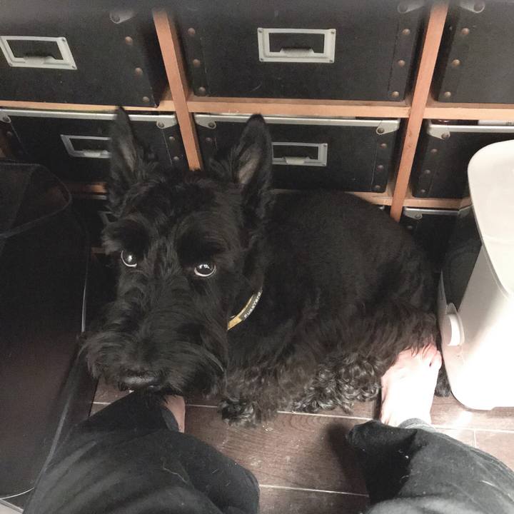 D8d2e5df 40fa 4f47 91ed a771776d2d26 1556952447360