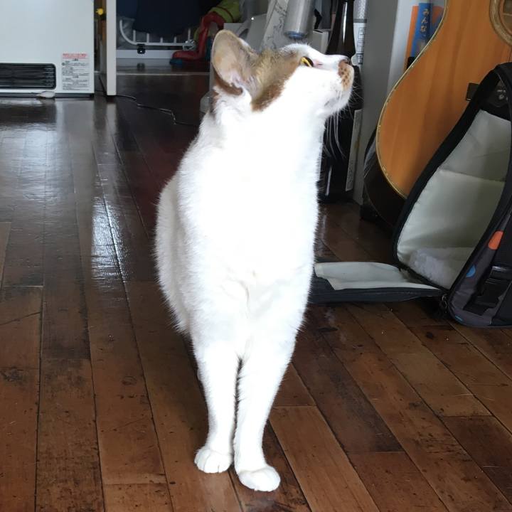 D8d2fb71 dcb2 4497 be5c 8c9ab998d91b 1526561131318