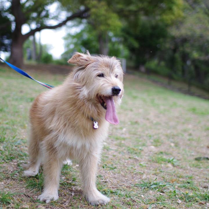 D8d303c3 bcba 4f13 9005 b1260b542214 1617606581339