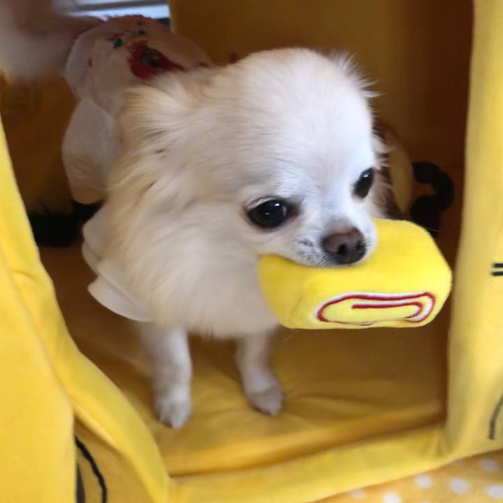 D8d3313c d75e 45bc 99e5 c281aee06b82 1589507750732