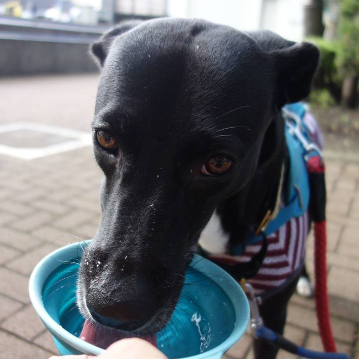 D8d3a916 775e 48e1 ae58 db4fde299d8f 1626393905149