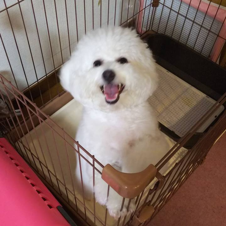 D8d3acdb 77a6 4a51 94de d554dc3617b7 1527936305209