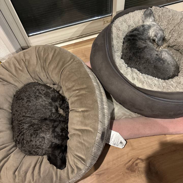 D8d3cd0d 4666 46c5 ae34 0191ddca9e2f 1709647062860