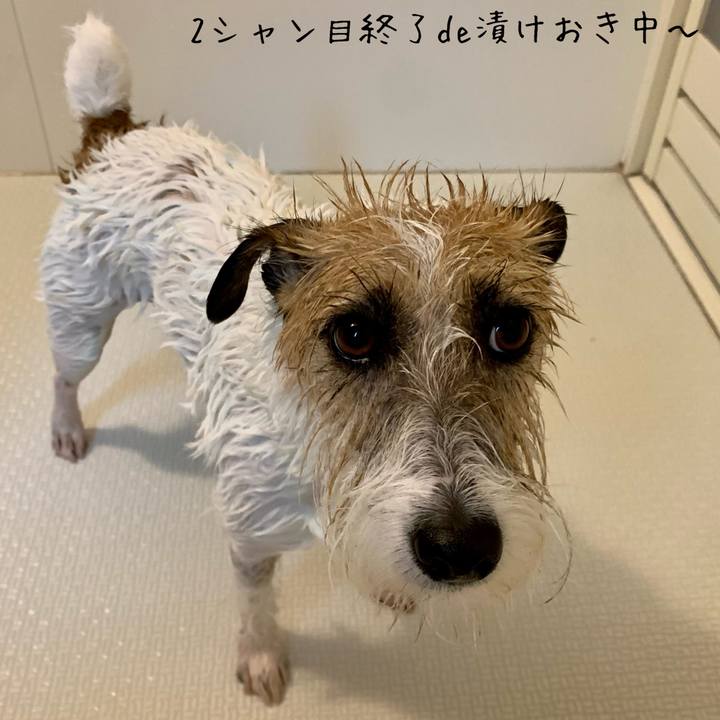 D8d417bc 33ff 4559 877b 5da5d7e8a930 1683470498921