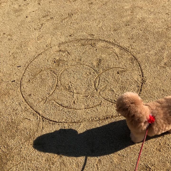 D8d43885 6a05 4dd4 8c1e 801181072d6d 1509411077626