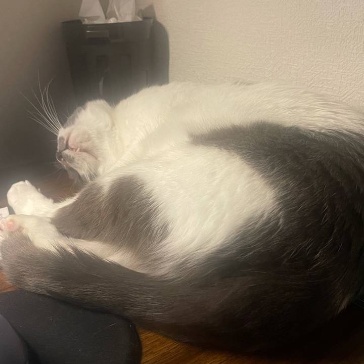 D8d43908 8f4c 4eb8 bbef 65b6c0928d68 1645190519294