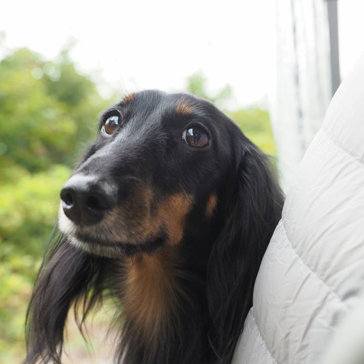 D8d45420 0f1d 4678 ba45 bd90f9c1dc43 1569644574604