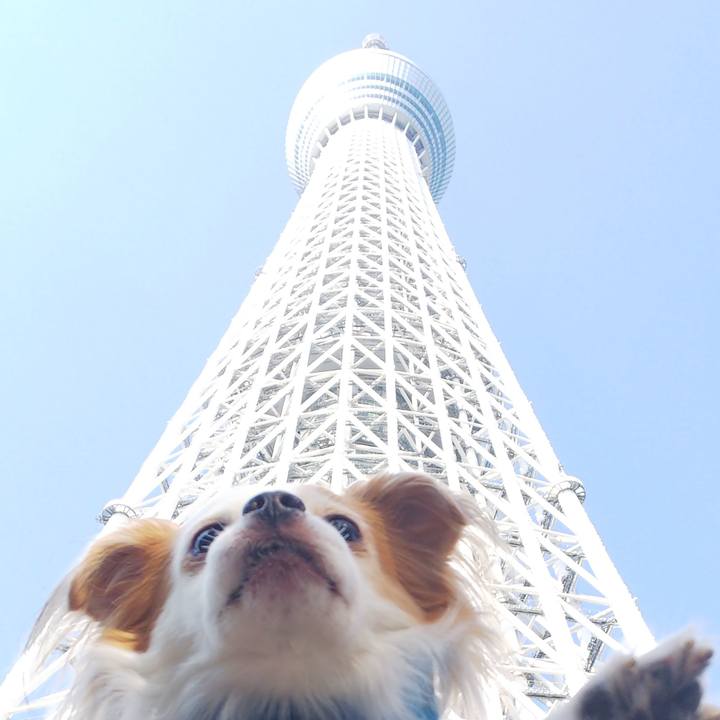 D8d48009 20bb 4af3 bcc3 eef181e903f2 1550382063771