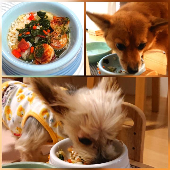 D8d4c3ed fd5c 415a bc09 87525a9b4af5 1607859850591