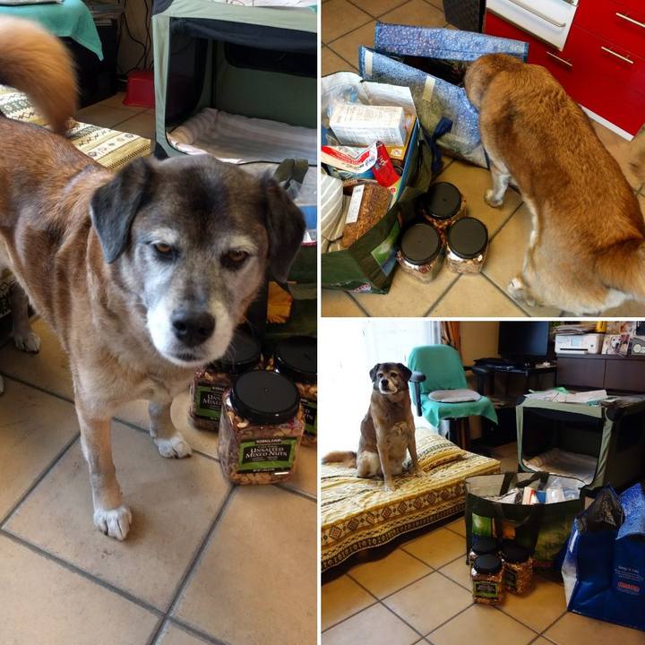 D8d4fd74 f461 47e3 afc8 052eb882ccf3 1552713128124