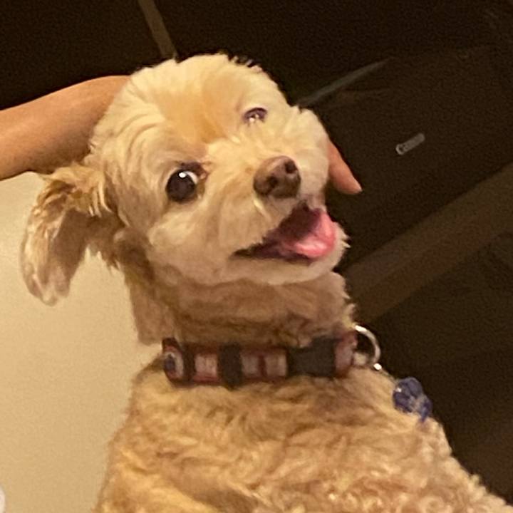 D8d506cc b77c 423f ab45 a2757cfa7aa1 1627213197624