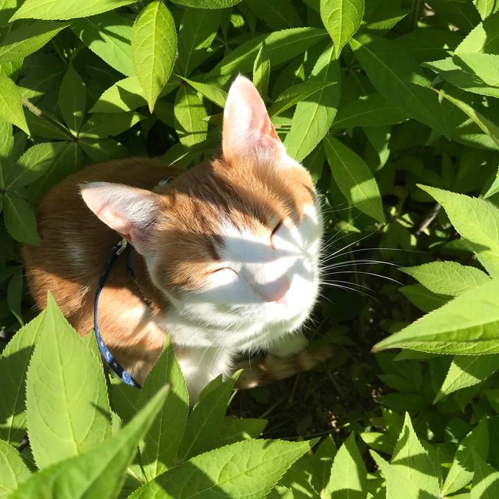 D8d51ac2 79f2 4615 bb88 21f8f3c05eff 1526969846002