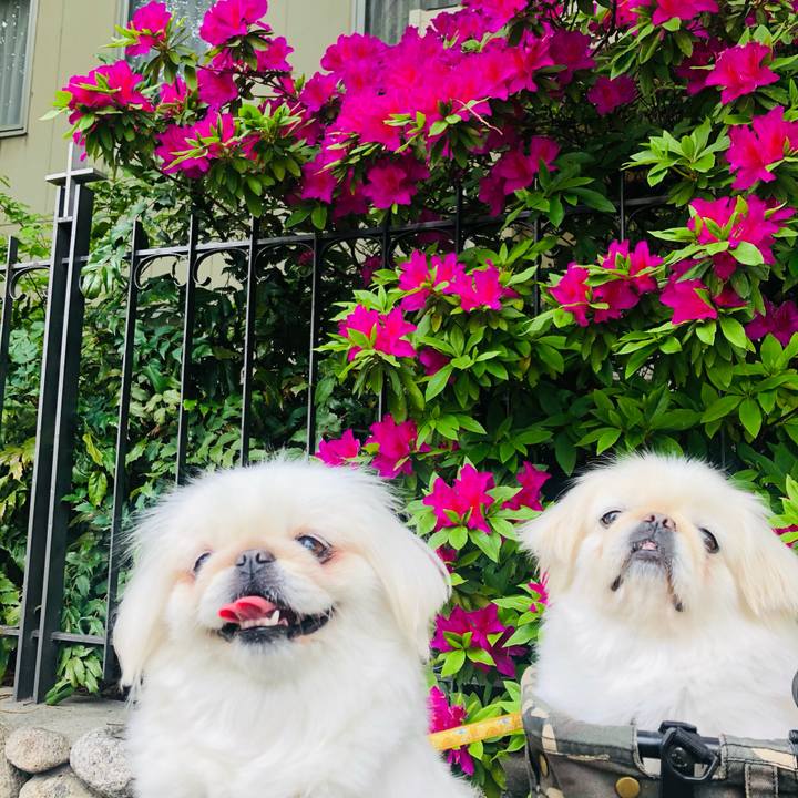 D8d53a0d 1251 4187 9ddc 6eb68bc4181b 1618582658660