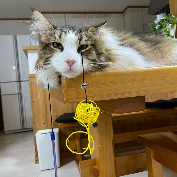 D8d56810 67a9 49a8 ba11 9a72415403d1 1652535272431