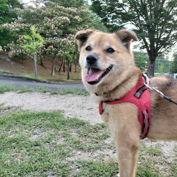 D8d5690e 6efc 4cfc 8965 b3eb69467045 1719846412729