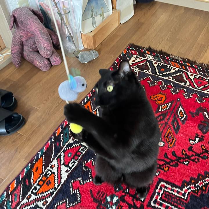 D8d58c97 3d63 44af ae5a c52babecbaec 1722853683287