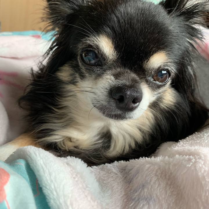 D8d595bb 611e 4c7e 9f4a a78d4e763687 1562465933325