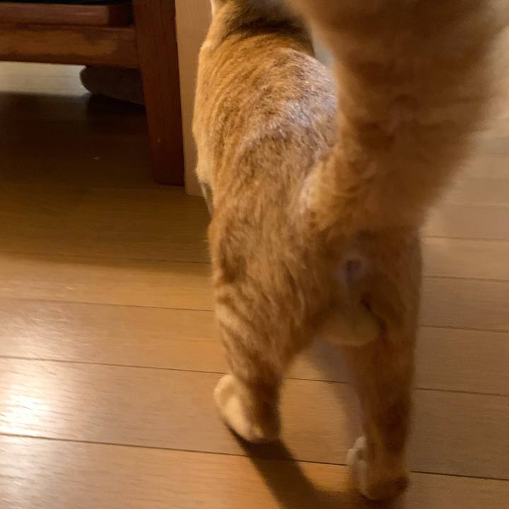 D8d5a5d5 0e14 457b 9785 4f4d5edd7b0a 1694062521050