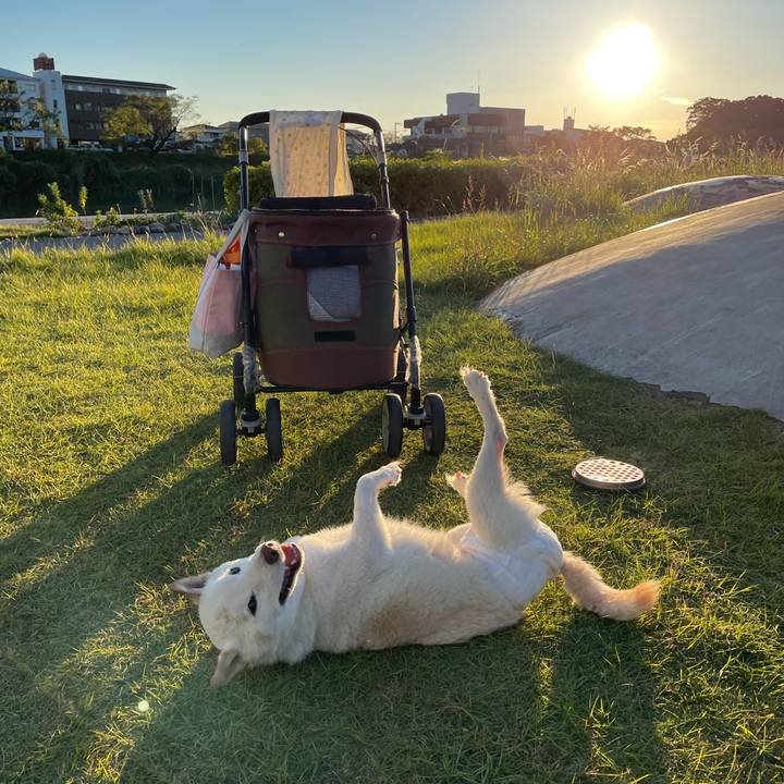 D8d604c1 f5a8 498b 8d21 991a1ee692f2 1666777401572