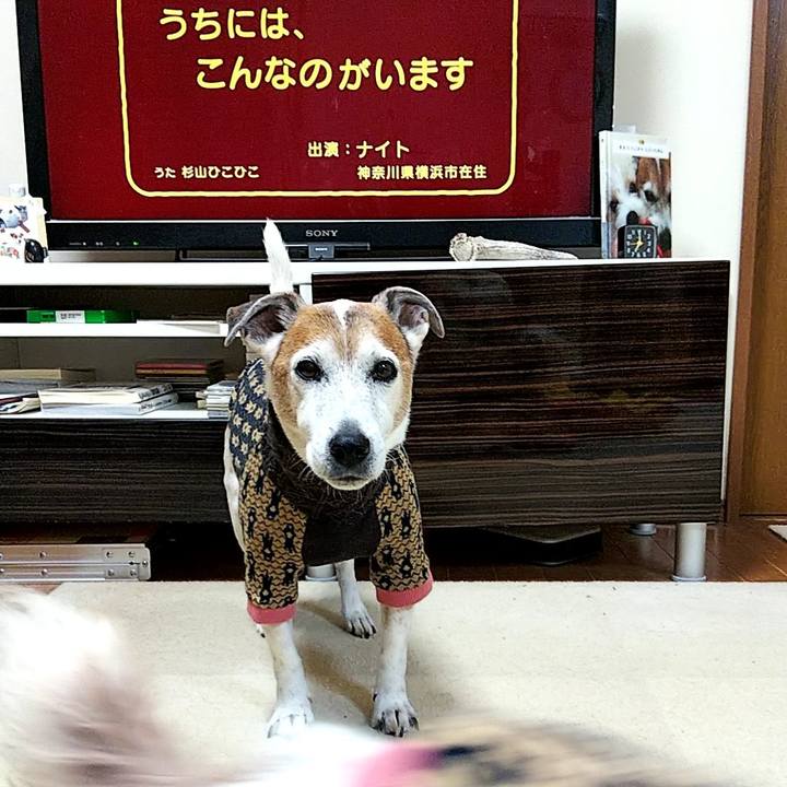 D8d60f0d bf99 4756 8979 176cc7fc75f1 1574979513932