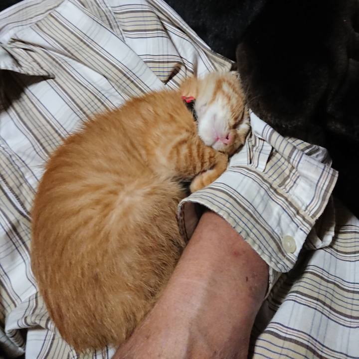 D8d68709 c428 4fe2 a174 c04f09c3fe03 1628854901583