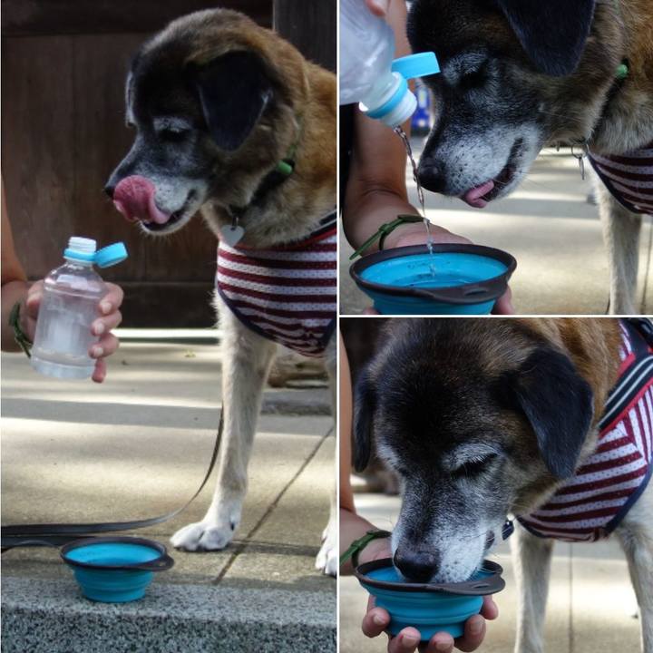 D8d6b0a9 cddd 4b87 9a3f 57897b9841d4 1534292285607