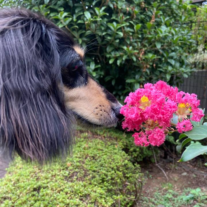 D8d6b5da 23d5 40ea 8d1b a6117a1b8a8f 1726539114627