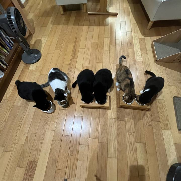 D8d72865 b6b4 4706 84e2 38aae9815f0d 1723803096056