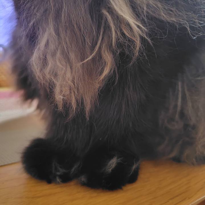 D8d735ea 31d2 4711 940f 380aa337fe94 1768654491054