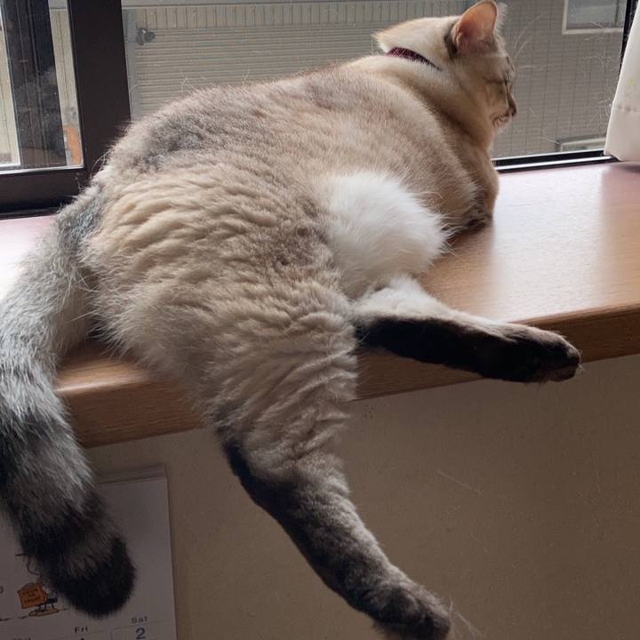 D8d75088 91d5 4174 a034 f3cfe06068d7 1634221699894