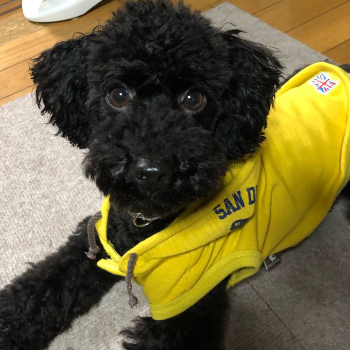 D8d7580c c678 495f 8b6e 501e6eb2b461 1529138286798