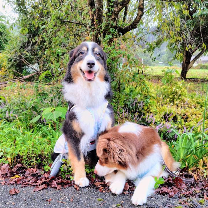 D8d77c4c 904c 4e66 b2eb 262efbf64c9d 1764415163031