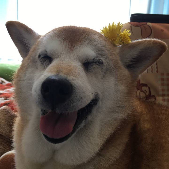 D8d77d19 0531 42a8 be2f 5c985ac0a3e5 1523595420803