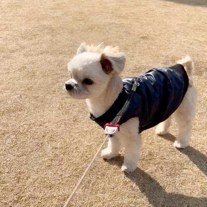 D8d7913c 06c9 41c7 8e0e afb88bf5cb69 1550313000772