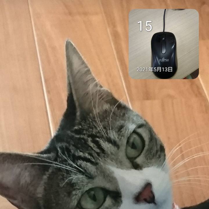 D8d7b98e ba72 49f4 ab9b e6ed9e51407c 1652613107474