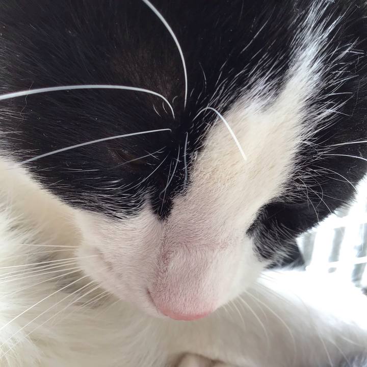 D8d820eb 0122 4c79 8b89 e3e0690f9ab6 1641616056180