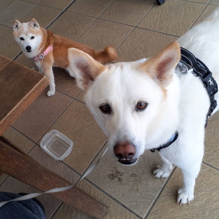 D8d85600 b6b2 4764 9484 754d19c7390c 1678002839881