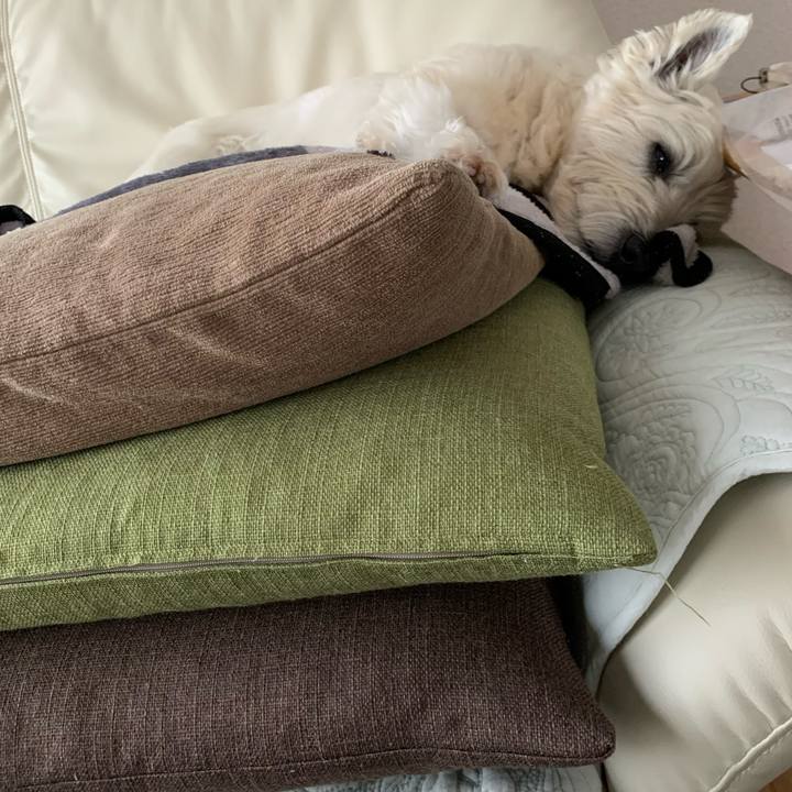 D8d85c0e f947 4280 9897 e1b0acd393d0 1589192148456